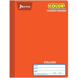 Cuaderno Cosido de 100 Hojas College de Cuadro Grande Norma 360