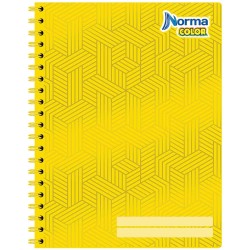 Cuaderno Espiral de 100 Hojas Profesional de Raya Norma Color